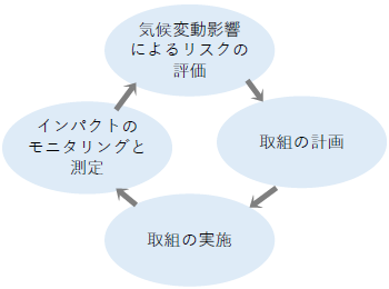 一般的な適応のプロセス